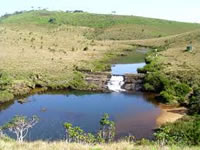 Beautiful of Nuwaraeliya 