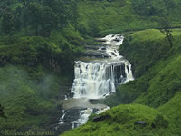 Nuwaraeliya in Sri Lanka