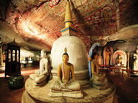 Sri Lanka Round Trip-Dambulla